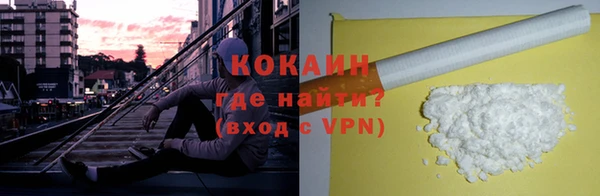 PSILOCYBIN Верея
