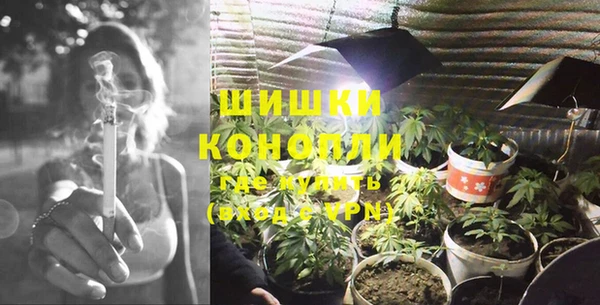 PSILOCYBIN Верея