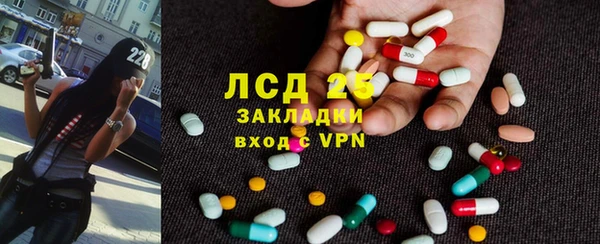 PSILOCYBIN Верея