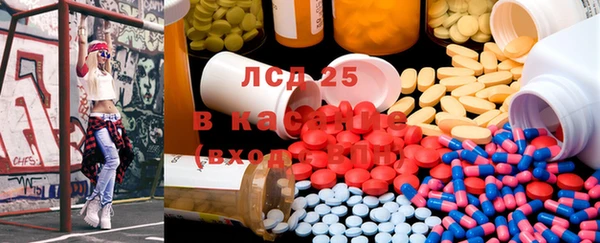 PSILOCYBIN Верея